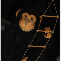 2008-12-21-Nachtschicht 107