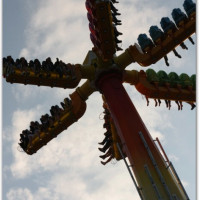 008