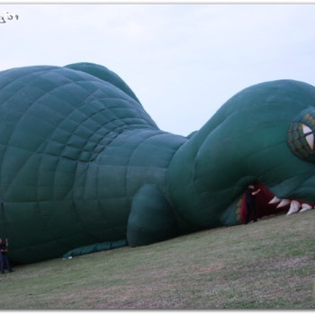 220